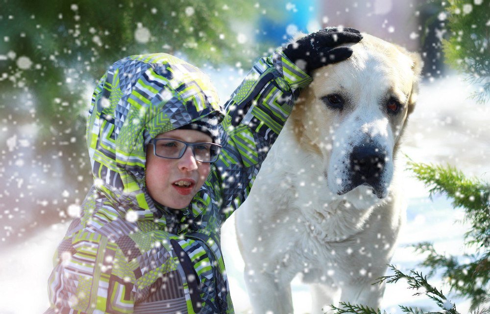 Фотография автора Михаил Назаров