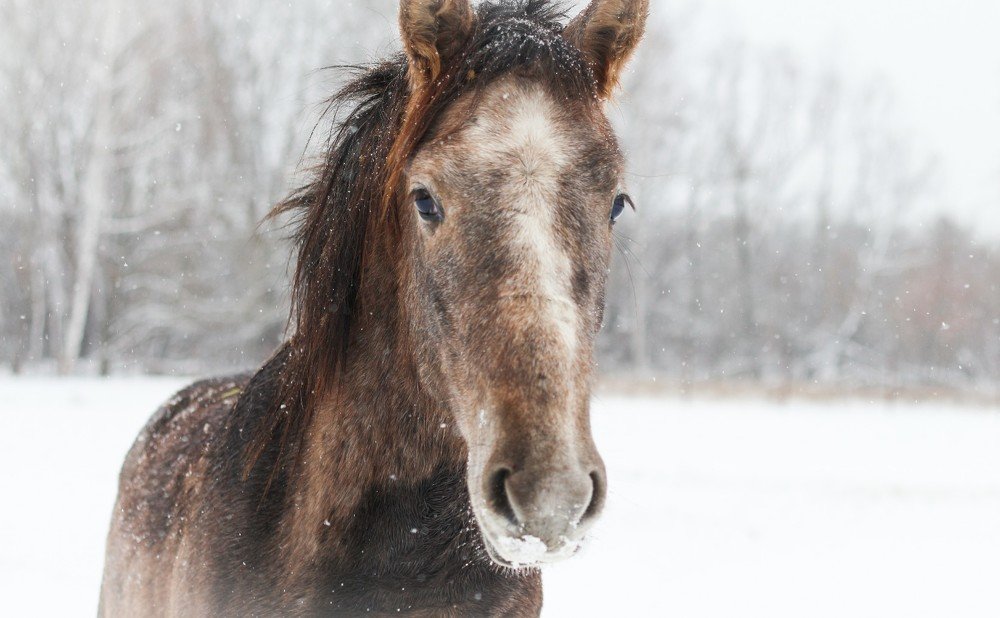 Фотография автора Михаил Назаров