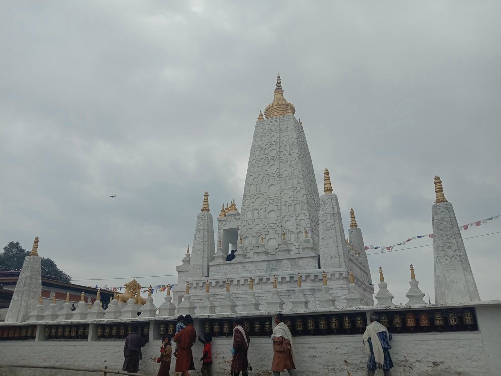 Photo #4999448