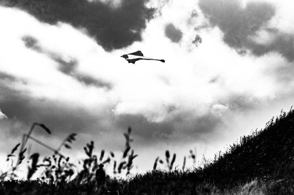 Небесный змей