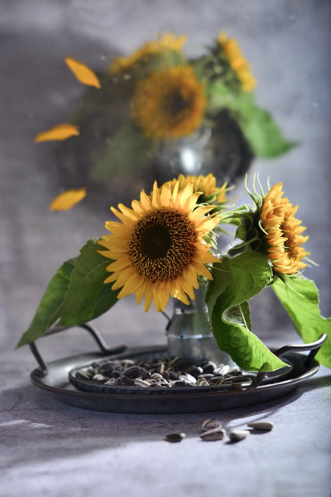 Photograph by Анжелика Овчинникова