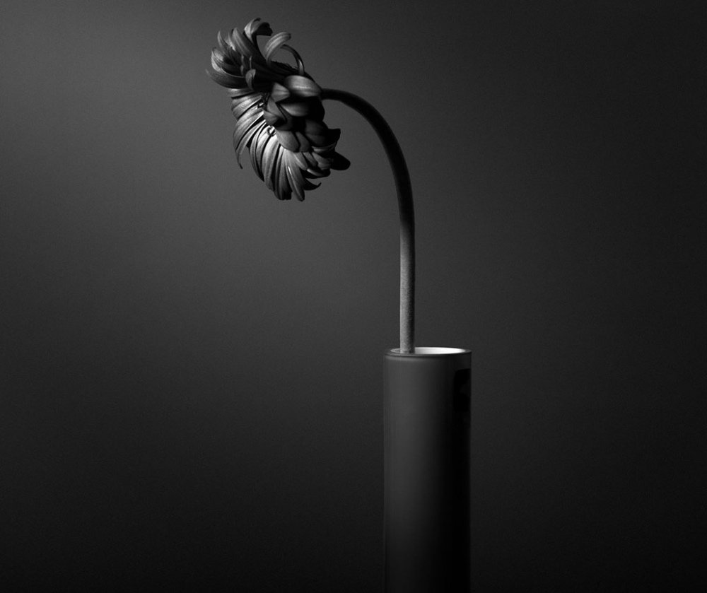 Photograph by Ahsan Ishtiaq