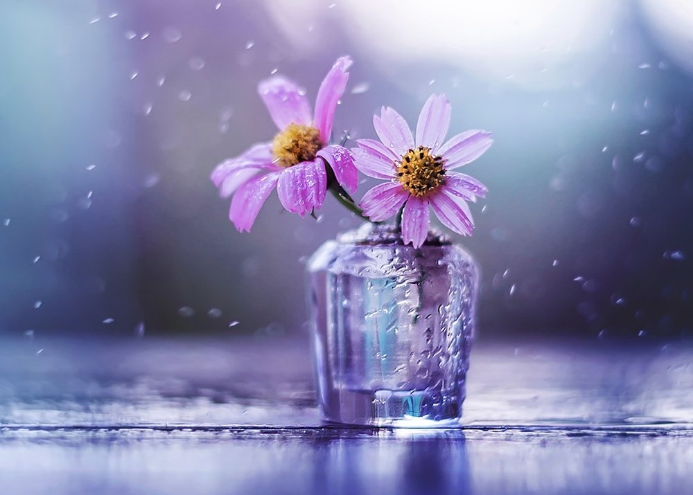 Photograph by Ahsan Ishtiaq