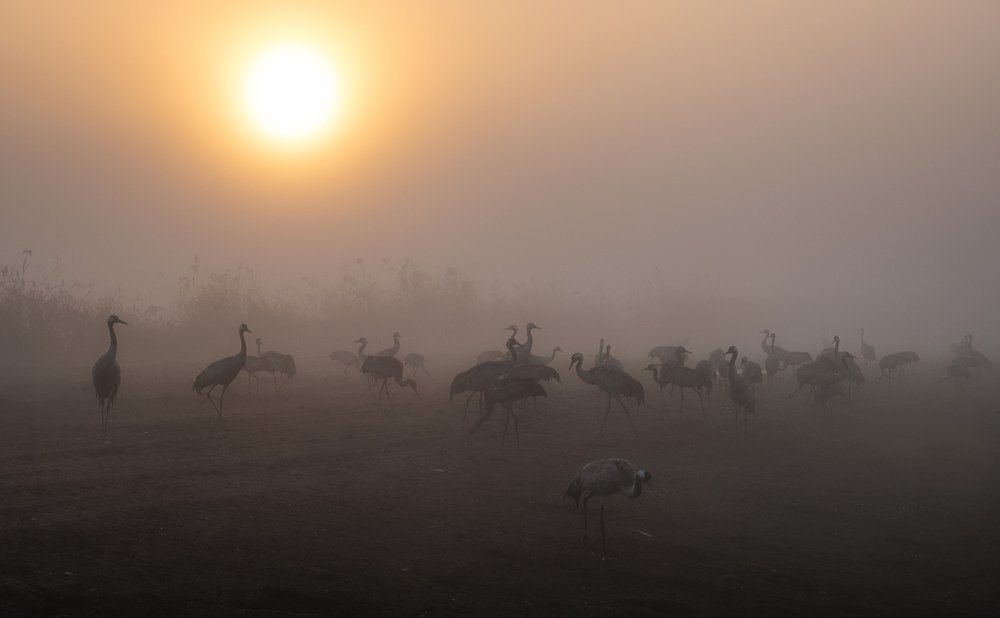 Фотография автора Григорий Крамаренко