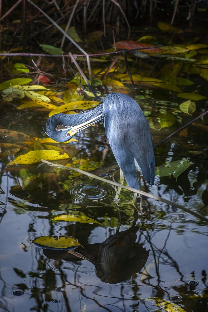 Photograph by Karen Khachaturyants