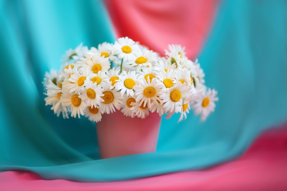 Photograph by Марина Лачинова