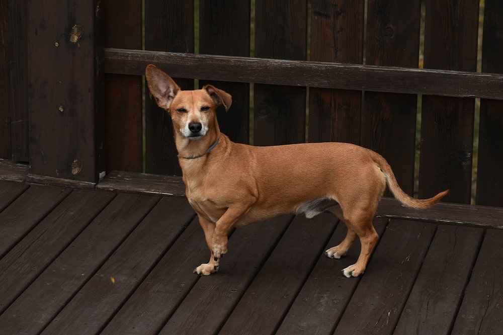 Photograph by Татьяна Крахина