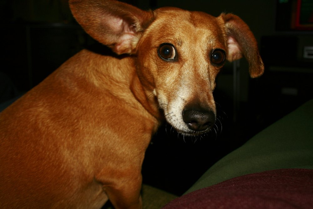 Photograph by Татьяна Крахина