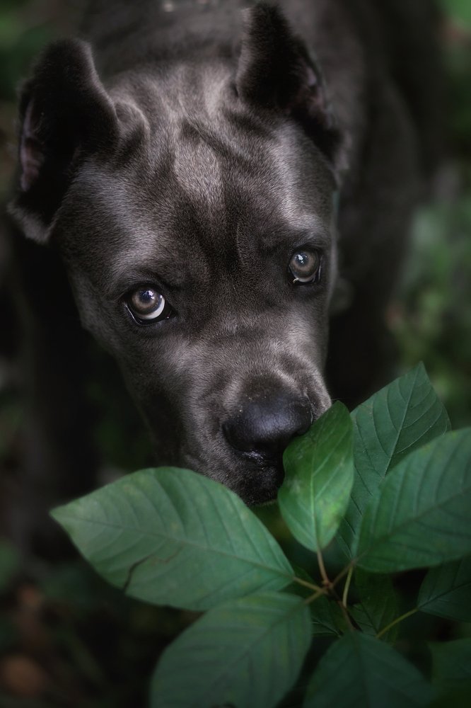 Photograph by Липатова Анна