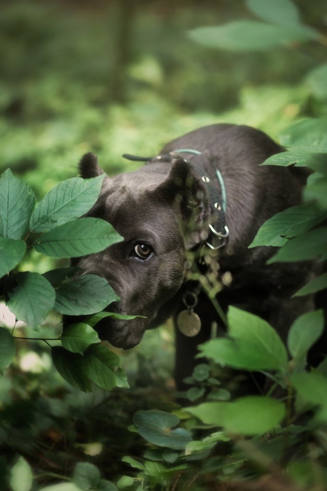 Photograph by Липатова Анна