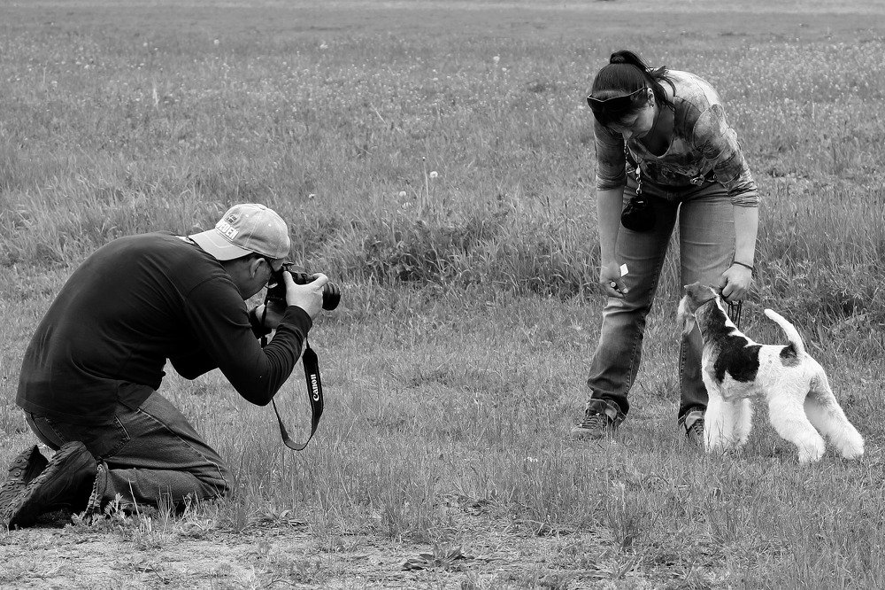 Photograph by Александр Бугаенко