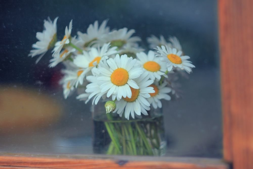 Photograph by Светлана Ржевская