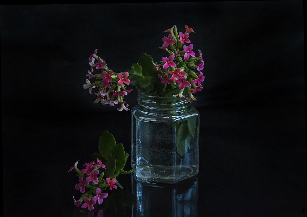 С цветком каланхое.