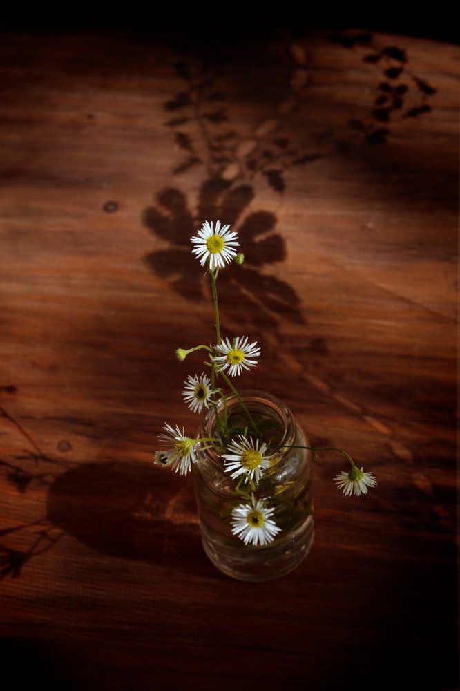 Цветочные кружева.