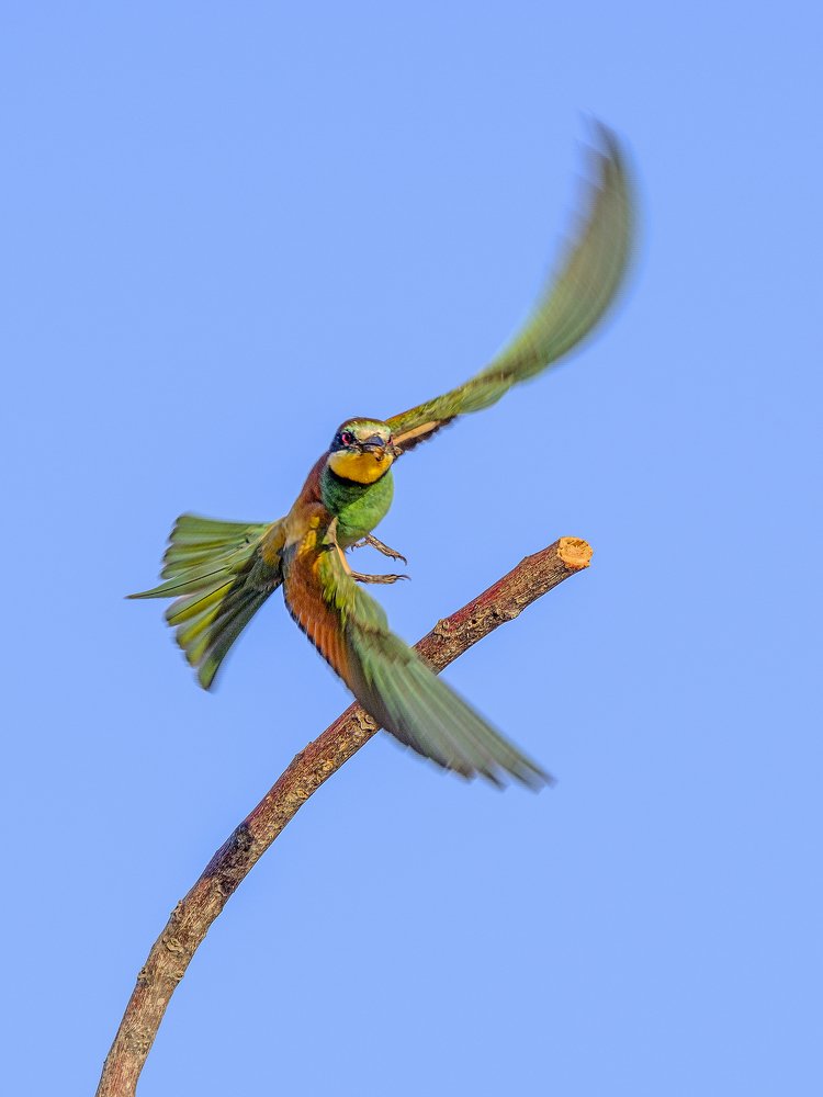 Photograph by Илья Зускович