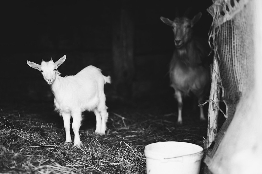 Photograph by Блинковская Вероника