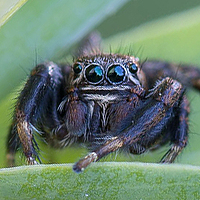 Кузнецов Дмитрий - photographer