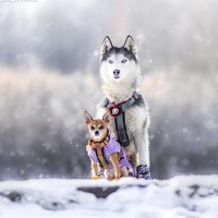 Мария Климова - photographer