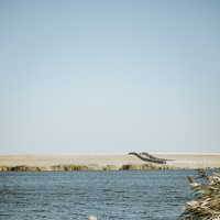 Фахри Багиров - photographer