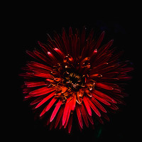 Jear Cautivar - photographer