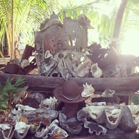  Leotina - photographer