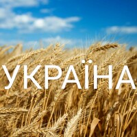 Сергей Гринько - photographer