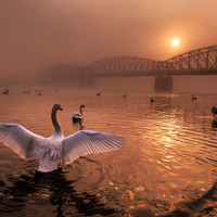 peter cech - фотограф