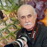 Юрий Васильев - photographer