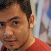 Ali Froghi - фотограф