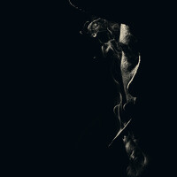 Pedro - photographer