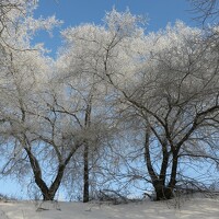 Козлова Галина - photographer
