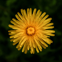 Віктар Стрыбук - фотограф