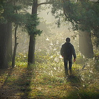 Шляга Сергей - photographer