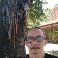 Tavip Tavip Budiono Hadisoeprapto - photographer