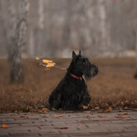 Natalya Rembeza - фотограф