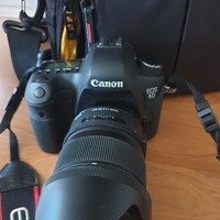 Алексей Кашин - фотограф