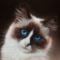 Мария Середина - фотограф