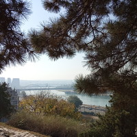 Mladjan Kundacina - photographer