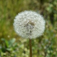 Ирина Квитная - photographer