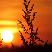 сергей павлов - photographer