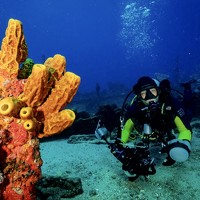 Paula Vianna - photographer