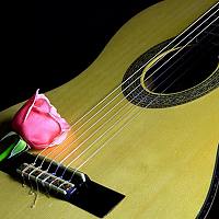 Nguyễn Anh Tuấn - photographer