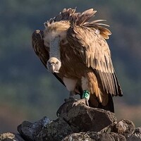 Georgi Slavov - photographer