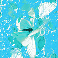 Лещёнок Александр - photographer