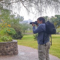 MARCELO GIORGI - photographer