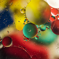 Сергей Ляшко - фотограф