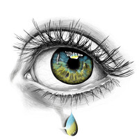 Аліса Володченкова - photographer