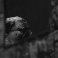 Кирилл Ермилов - photographer