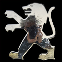 César Gustavo Ruiz - photographer