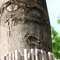 Глеб Мацак - photographer